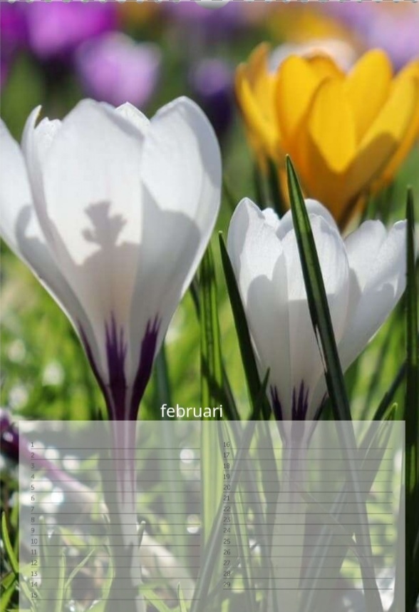 kalender "Natuur"