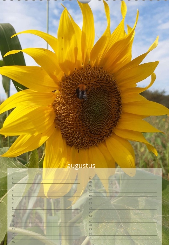 kalender "Natuur"
